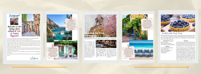 Joie de France Magazine